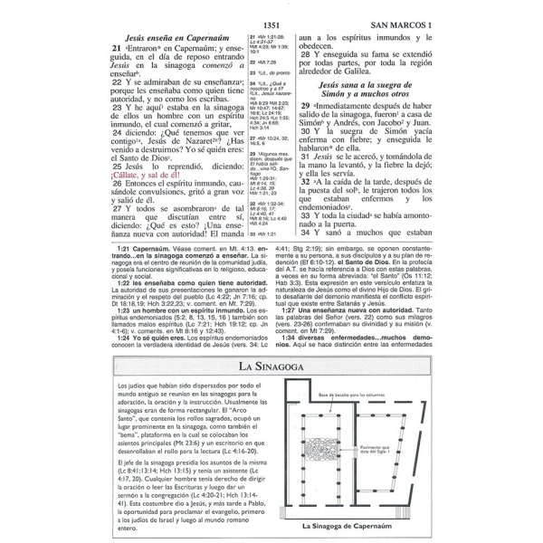 Biblia de las Américas Biblia de estudio piel italiana - Image 4