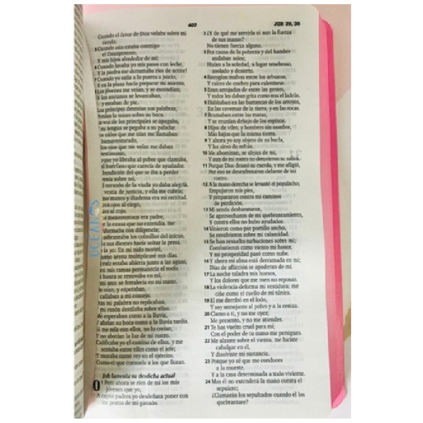 Biblia RVR1960 mediana ultrafina im piel rosa RVR065e - Image 2