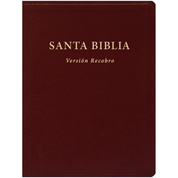 Biblia Versión Recobro Piel vino