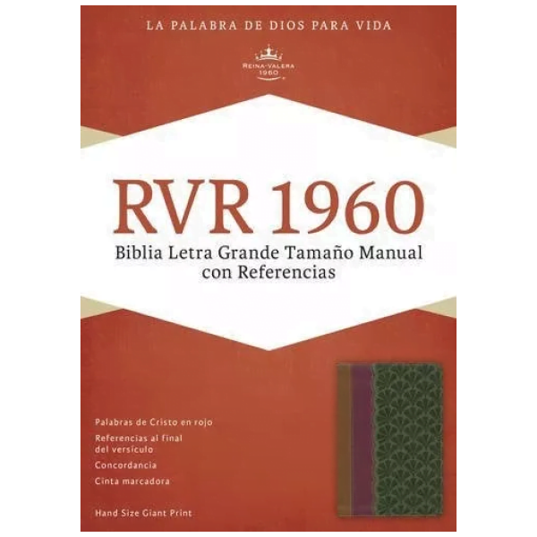 Biblia Tamaño Manual Con Ref Rvr1960 Chocolate/ciruela/verde