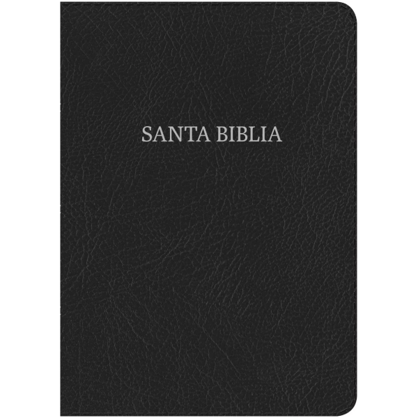 Biblia Grande Letra Gigante Nvi Piel Fabricada Negro