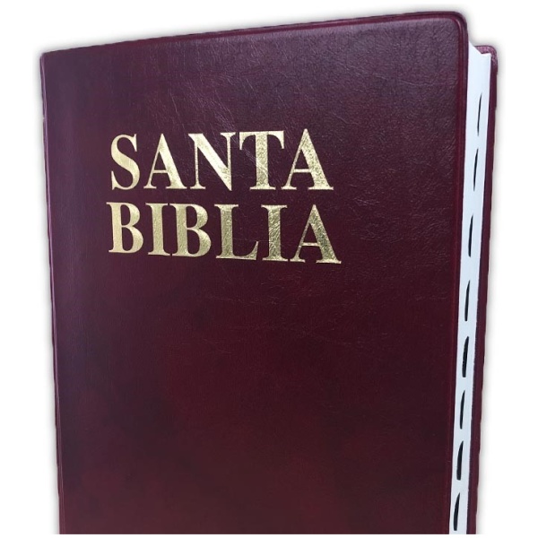 Biblia RV1909 con cordancia vinil marrón índice