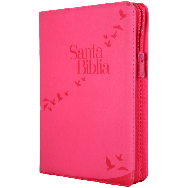 Biblia RVR1960 Lt Gigante índice Rosa QR RVR086cZTILGiPJR