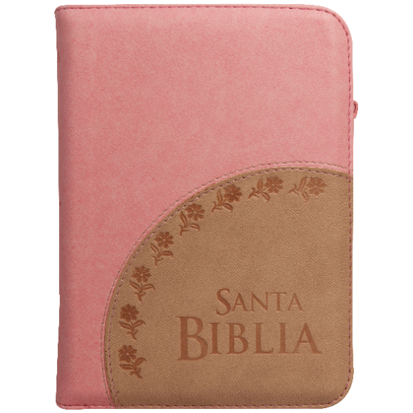 Biblia RVR1960 Chica Troquelado Rosa Beige Dorado RVR046cZLM PJR