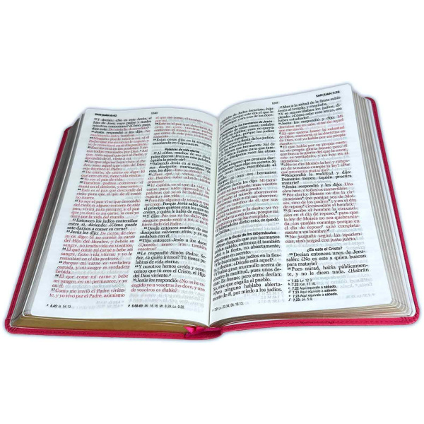 Biblia RVR1960 Letra Grande Imitación Piel Fucsia - Image 2