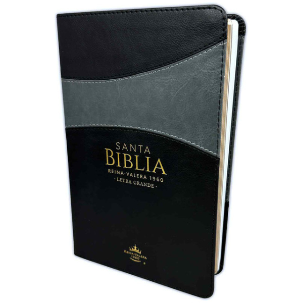 Biblia RVR1960 Clásica Letra Grande Negro Y Gris Cierre