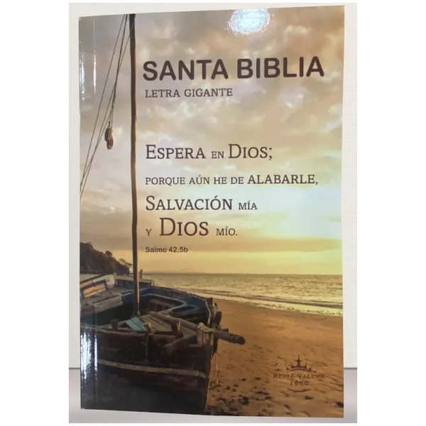 Biblia RVR1960 Economica tapa ilustrada RVR60ecLGiPJR