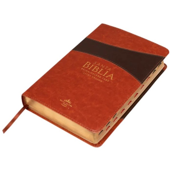 Biblia RVR1960 Letra Grande Manual S Piel Marrón Índice Cierre 12.5pt 065PJR