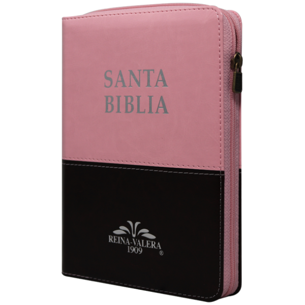 Biblia RV1909 mediana rosa café cierre índice VR055ZTI