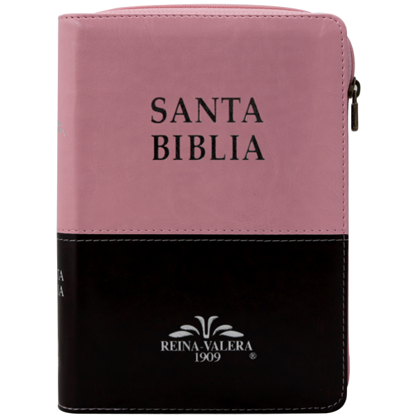 Biblia RV1909 mediana rosa café cierre índice VR055ZTI - Image 3