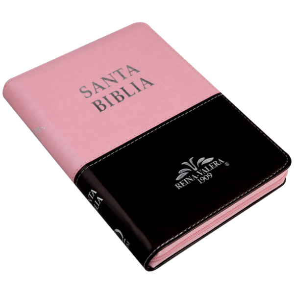 Biblia RV1909 mediana rosa café cierre índice VR055ZTI - Image 4