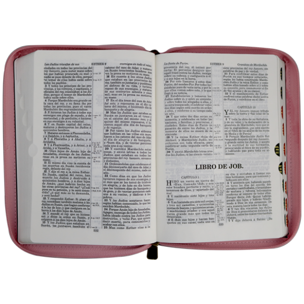 Biblia RV1909 mediana rosa café cierre índice VR055ZTI - Image 2