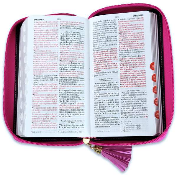 Biblia RVR1960 contempo chequera rosa fucsia gris cl im piel índice cierre AG 8pt PJR - Image 4