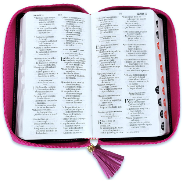 Biblia RVR1960 contempo chequera rosa fucsia gris cl im piel índice cierre AG 8pt PJR - Image 3