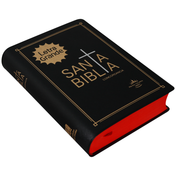 Biblia RVR1960 chica vinil negro RVR042cLG - Image 2