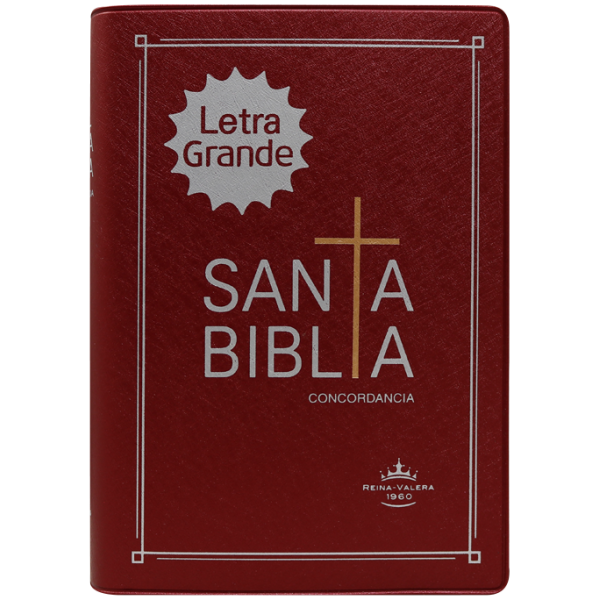 Biblia RVR1960 chica vinil vino RVR042cLG