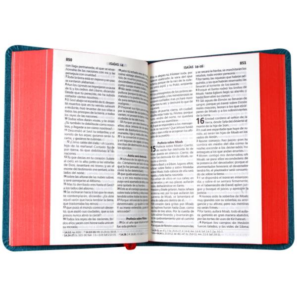 Biblia RVR1960 chica imit p verde DR RVR045cLG 9pt - Image 3