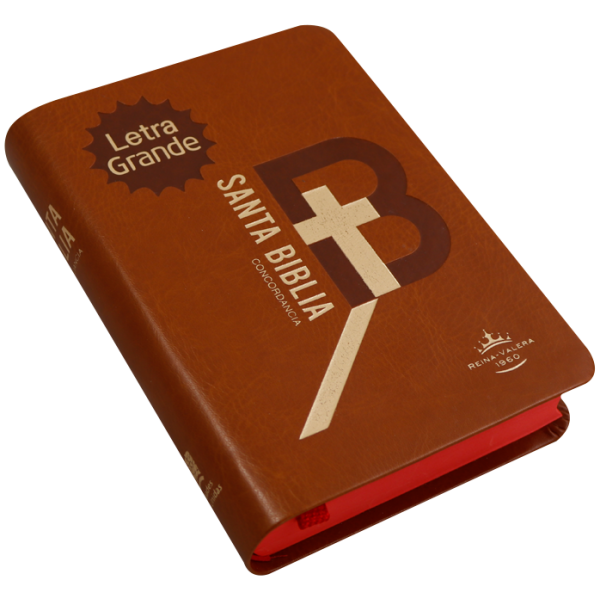 Biblia RVR1960 chica imit p cafe DRG RVR045cLG 9pt - Image 2