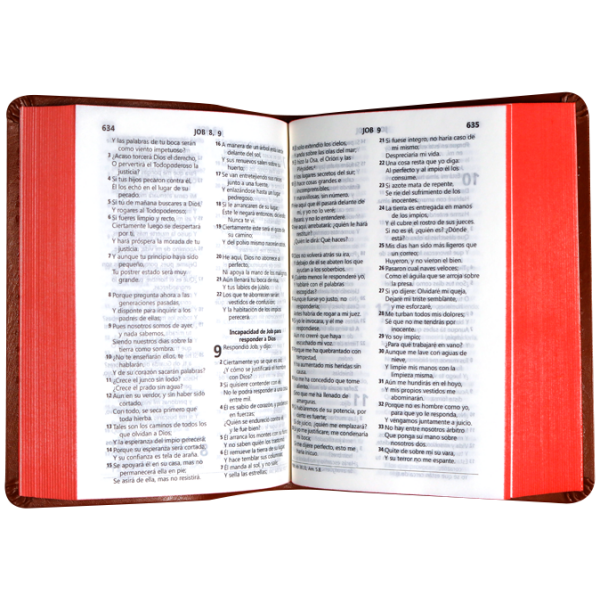 Biblia RVR1960 chica imit p cafe DRG RVR045cLG 9pt - Image 3