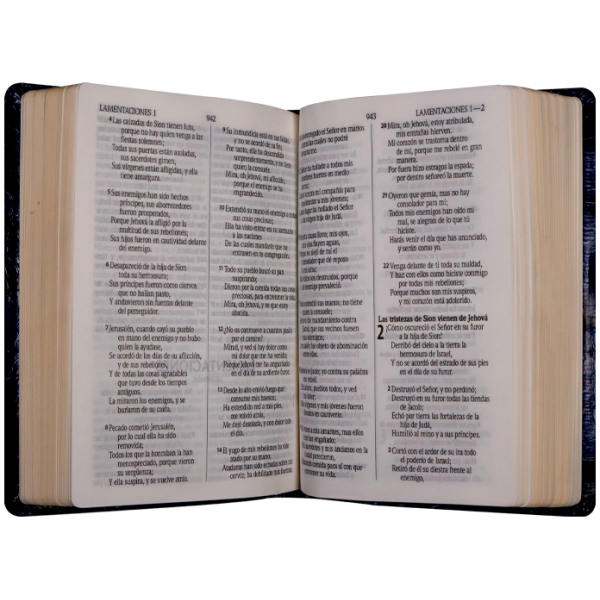 Biblia RVR1960 Pastoral imit piel azul RVR069cLGTI 9pt - Image 3